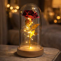 The Forever Light™